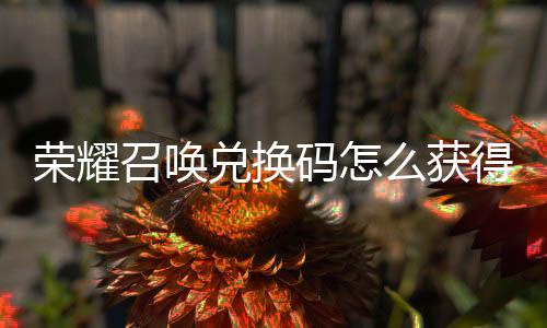 不同荣耀码怎么获码汇新增兑换得 兑换召唤总渠道
