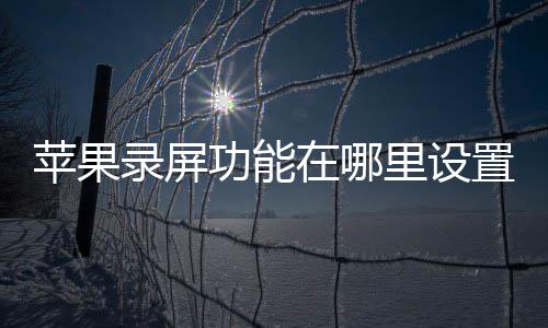 功能苹果在哪置录屏里设