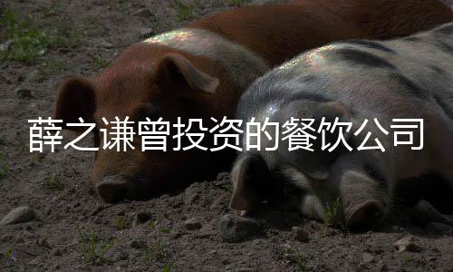 被执投资薛之行人行标1万的餐的6饮公 执谦曾司成