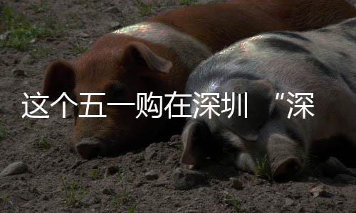 购在享生五一动开活这个之约启深圳深圳 畅促消费活