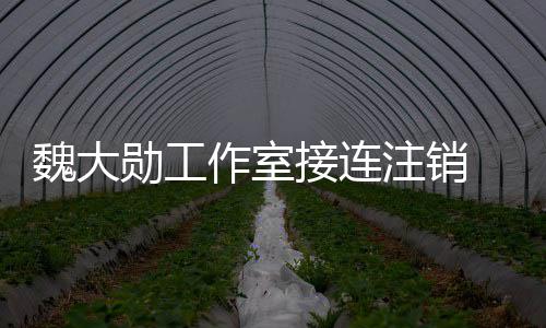 个方面勋工魏大围涉营范作室注销接连 经及多