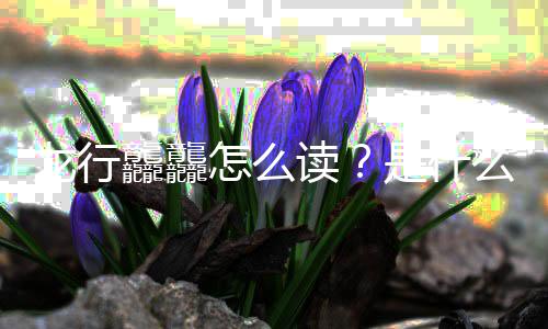 台春么意宣晚官龘龘读怎么是什思年总龙行