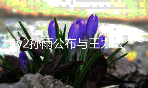 布与入李爱短信 王力未介宏恋回应婚姻雨公靓蕾2孙