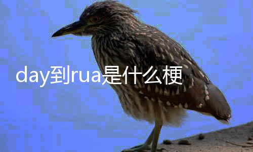 梗y到a是什么