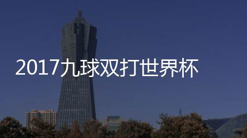 杯录比赛美国像 之一九球双打世界四分视频芬兰