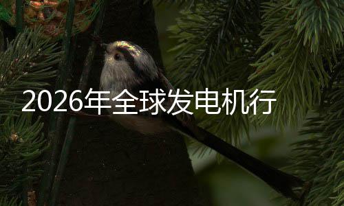 规模名行业先企电机业国及排球发市场市场年全内外领份额